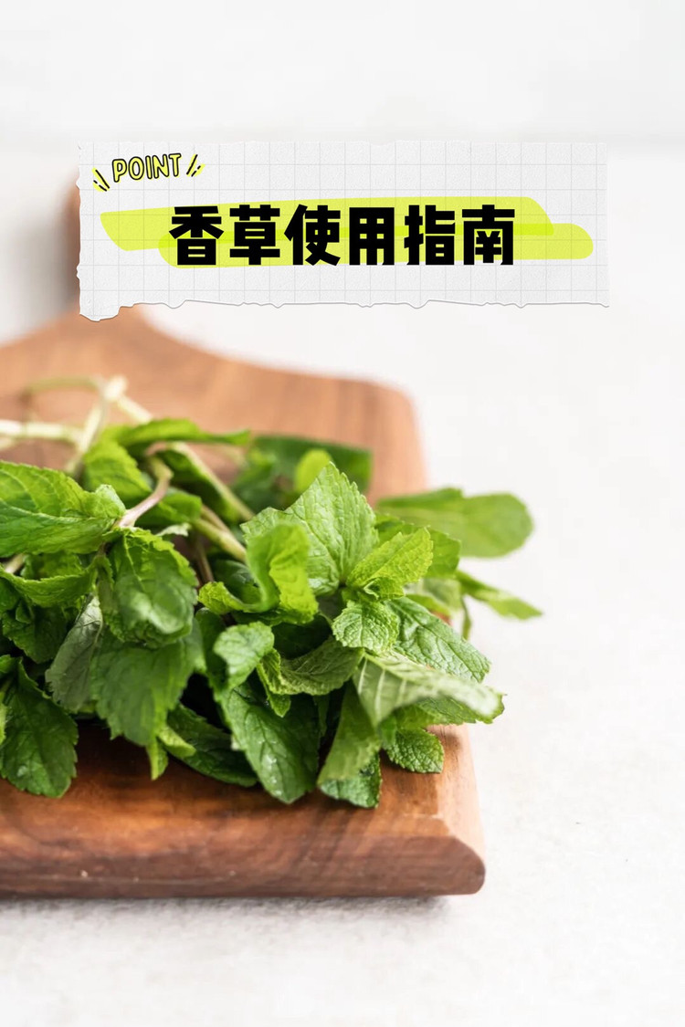 超详细香草使用指南🌿实用干货文图1