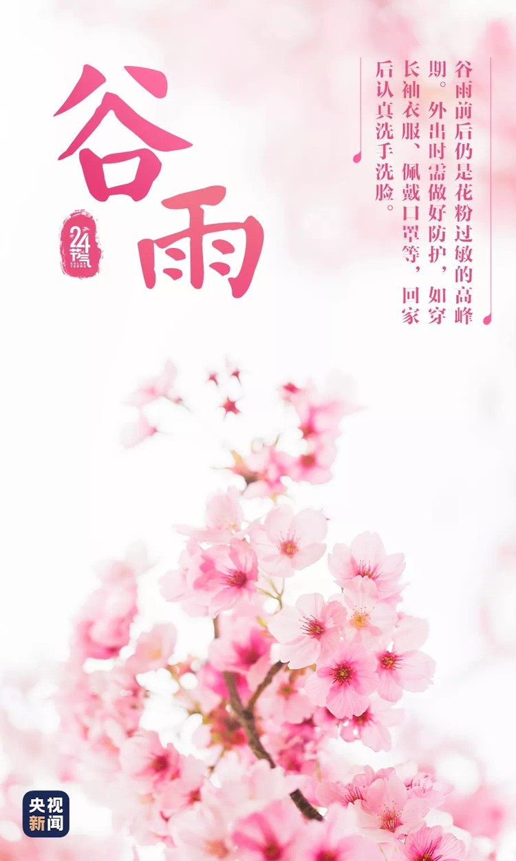 香椿炒鸡蛋图2