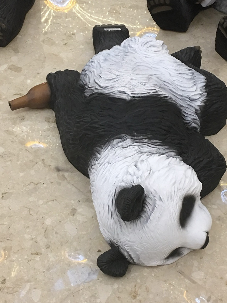 注意！熊猫🐼出没…图6