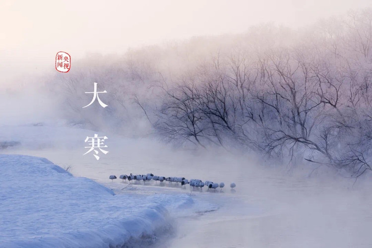 腊八粥、腊八蒜图9
