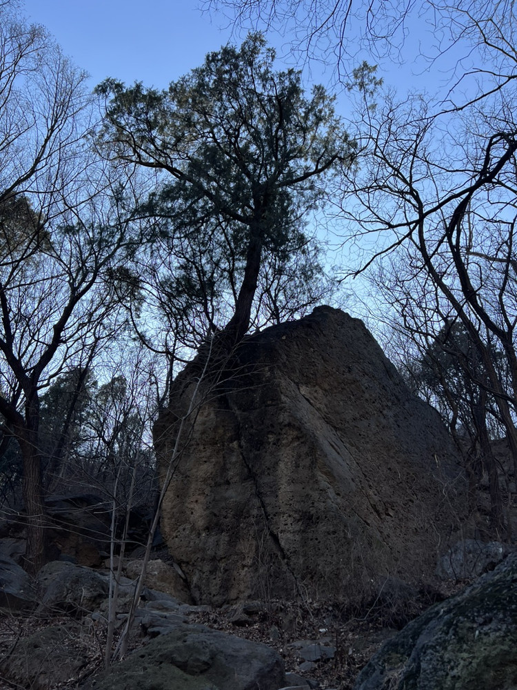 香山植物园图9