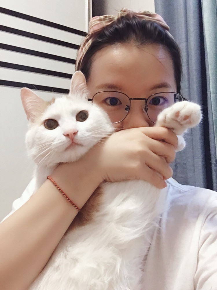 日常秀猫！我的宝宝2岁啦🧡图1