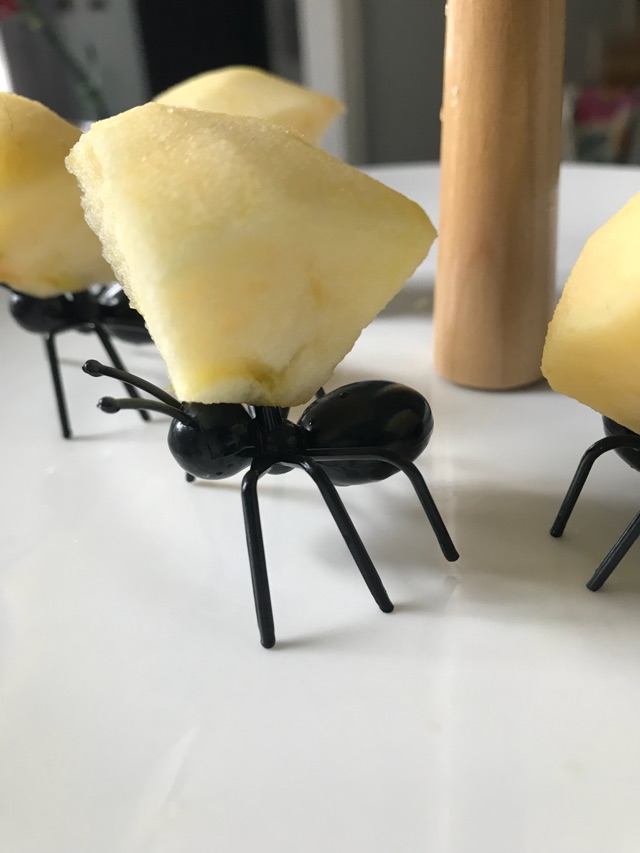 蚂蚁🐜帮我搬水果😄图1