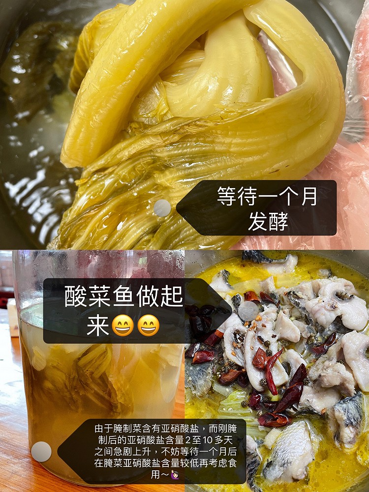 ㊙️淘米水不要倒掉～做自制酸爽脆的酸菜✅图4