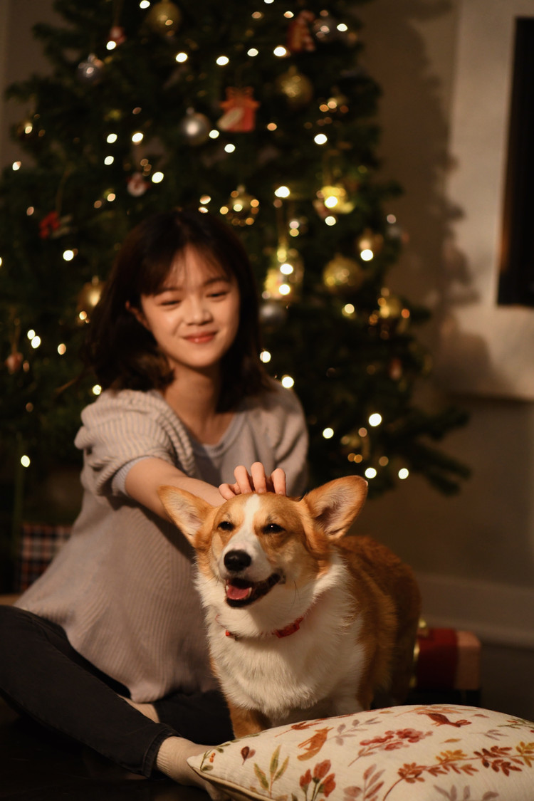 圣诞快乐🎄图6