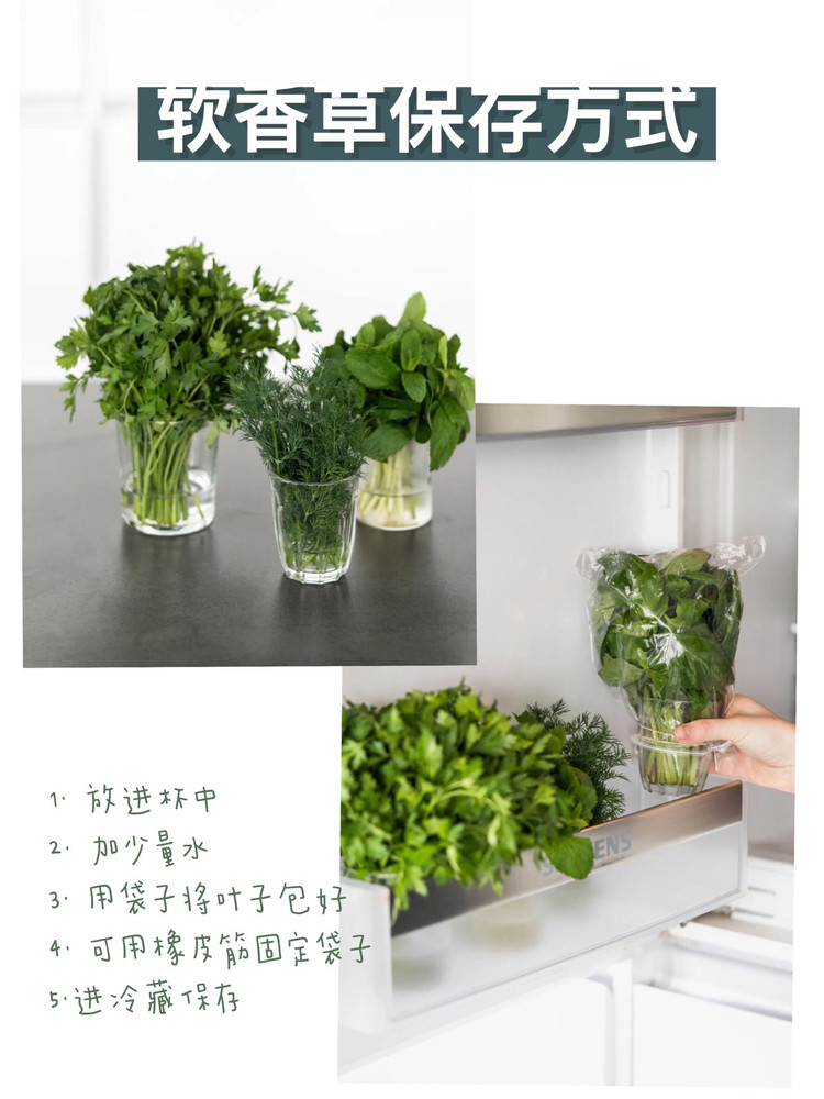 超详细香草使用指南🌿实用干货文图6