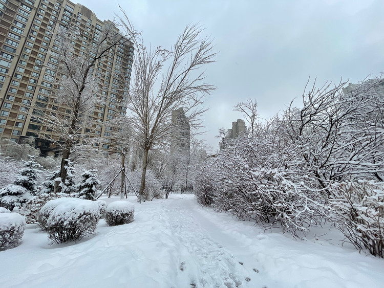 北方屋外白雪皑皑，家里早餐热气腾腾～图2