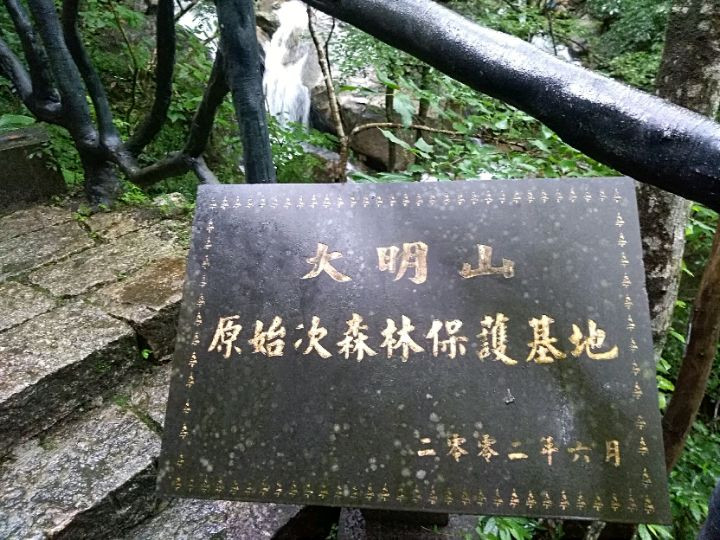大明山——原始次森林保护基地图9