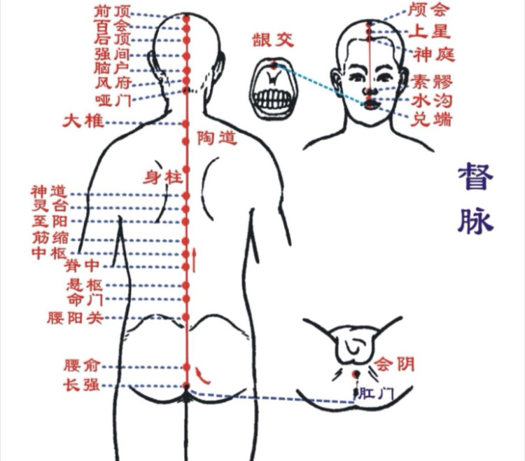 通则不痛，痛则不通，哪痛就揉一揉，捏一捏，拍一拍图1