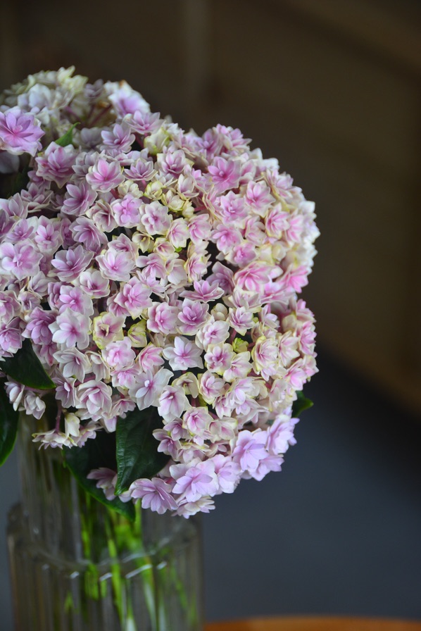 六月在家吃的第一顿早餐～图6