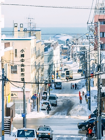 日本旅游🎐北海道攻略💌情书|绝美雪景图3