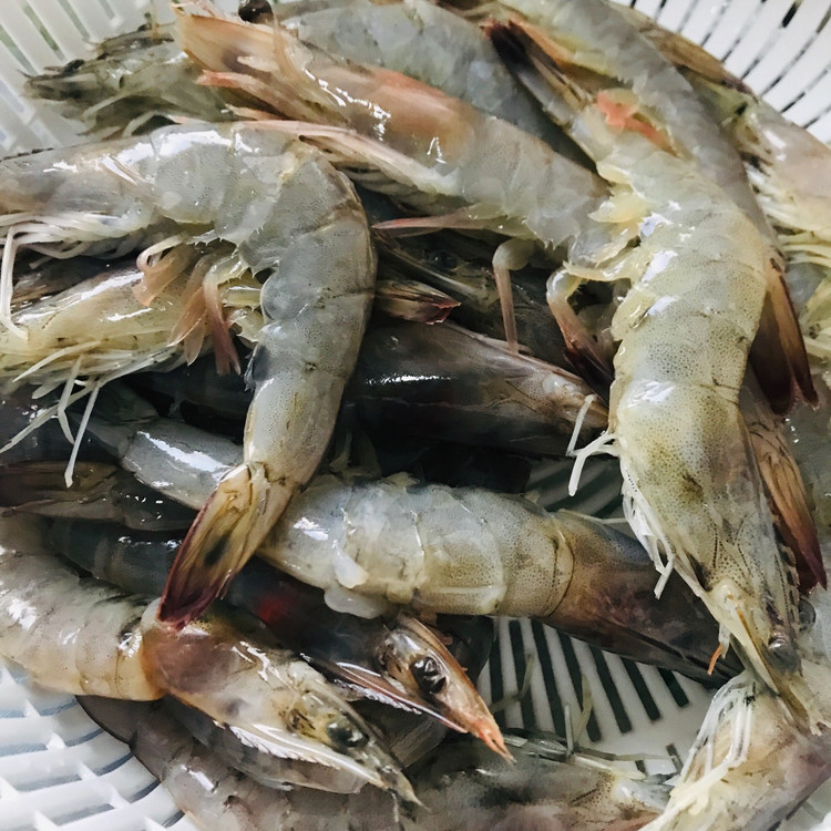 开背大虾味更鲜-糖醋大虾图5