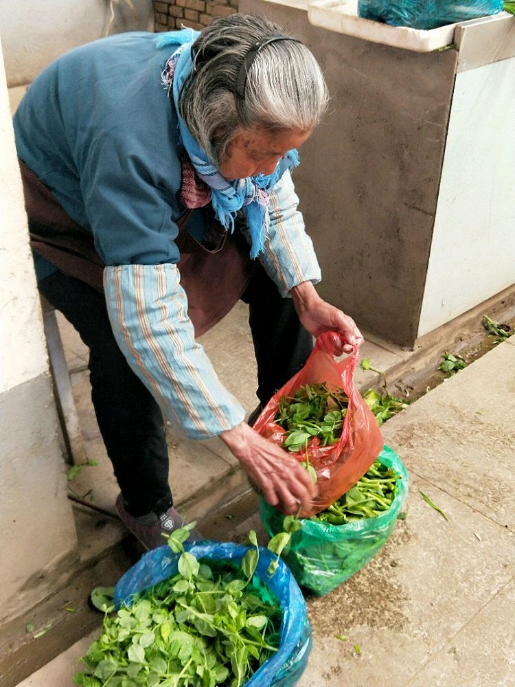 春日菜市场，生机勃勃图9