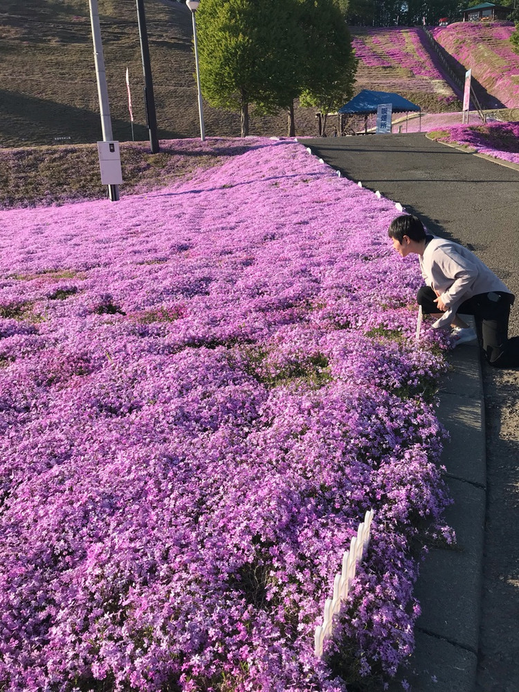 赏花🌸带吃🍦图3