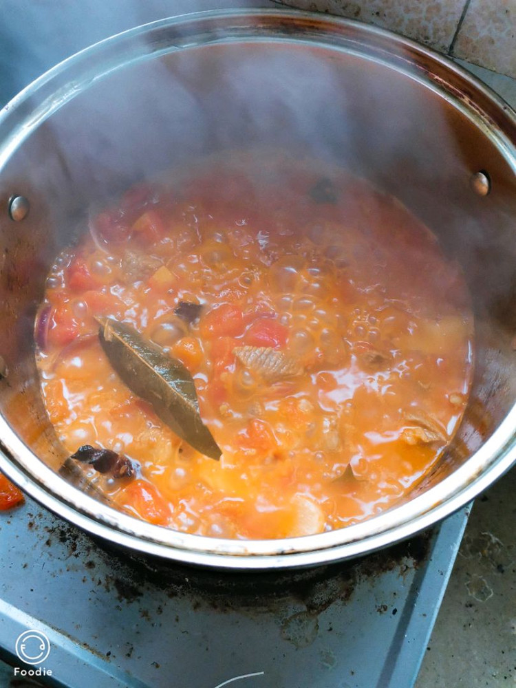 牛肉开始焯水的时候建议多焯一会儿，有高压锅更好可以提前焯水之后放在高压锅里面压一下，牛肉就不用炖很长时间都会很软了，切香葱的时候葱白葱叶分开，葱白和姜片蒜下锅炒香，在炒西红柿，炖的时候可以加一些香料，我加的香叶八角桂皮，炖出来很香，起锅的时候再放盐，番茄看个人喜好切大小，但是最后都炖化了，最后撒一些香菜和香葱。最后吃剩下的一些还可以下面条，酸酸甜甜的很好吃哟，希望大家都做好吃哟?图1