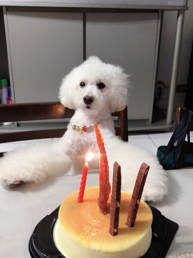 可愛寶貝今天生日，送上禮物🎁點上蠟燭許個願🎂🎂🎂图1