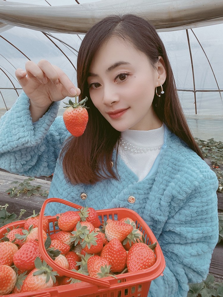 苏州15一斤的草莓🍓摘了熬果酱图6