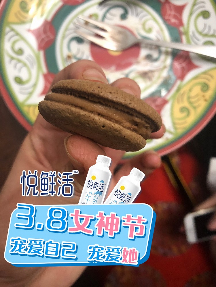 提拉米苏和失败的马克龙图2