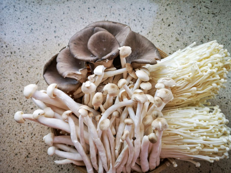 当各种蘑菇混合制作美食时，他们各展神通，口感超乎你的想象图3