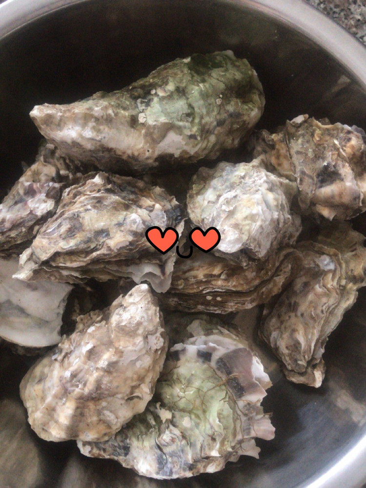 中午时间紧，就我和儿子，所以感觉这样更简单一些！饺子配生蚝?！哈哈哈图2