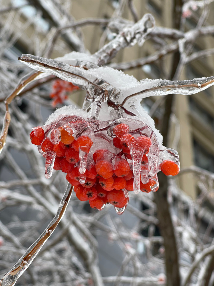 北方屋外白雪皑皑，家里早餐热气腾腾～图3