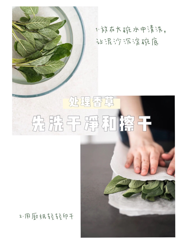 超详细香草使用指南🌿实用干货文图4