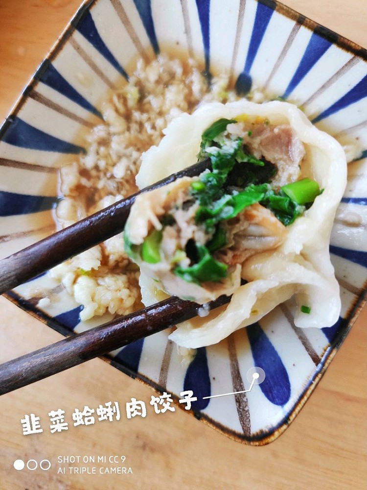 小半年的饺子合集图5