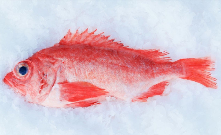 红鱼整条加拿大来料，颜值高，口感好，中国人最爱图3
