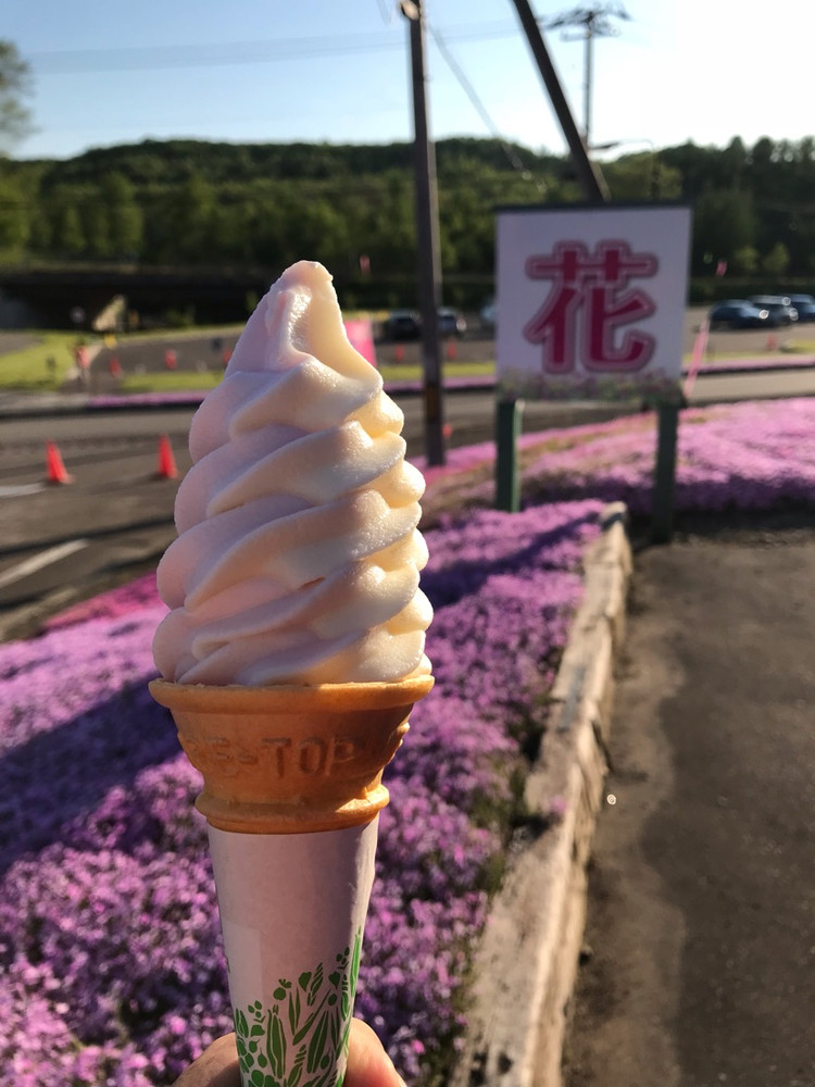 赏花🌸带吃🍦图1