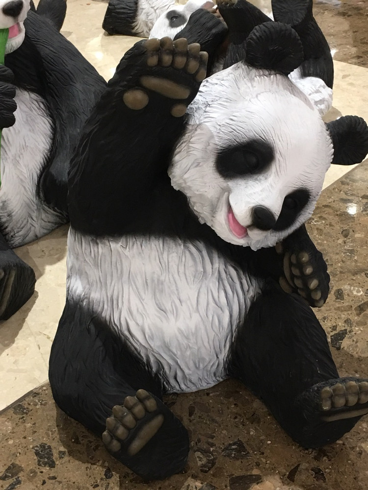 注意！熊猫🐼出没…图5
