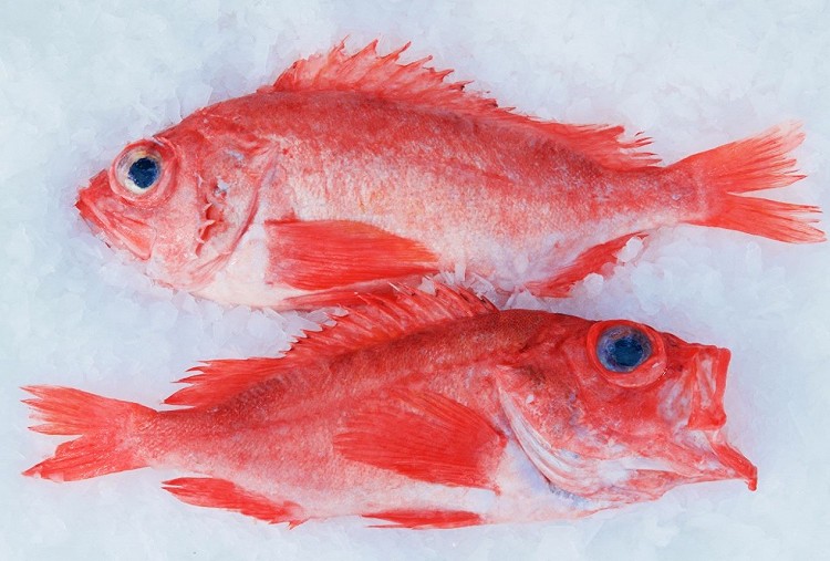 红鱼整条加拿大来料，颜值高，口感好，中国人最爱图2
