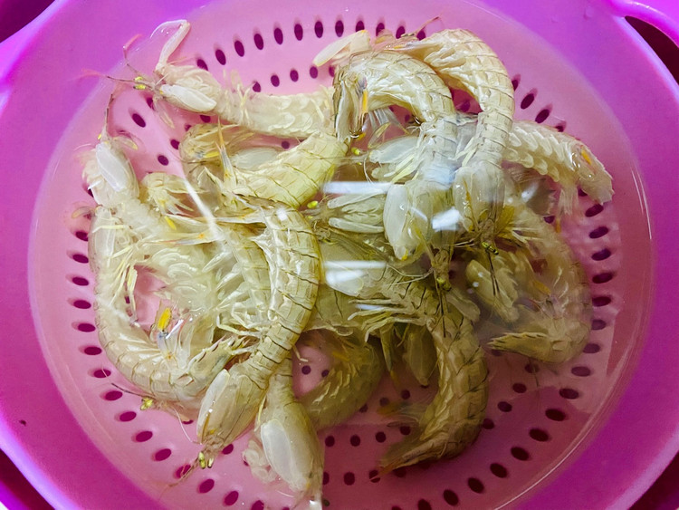 我爱皮皮虾呀咿呀咿呀哟图1