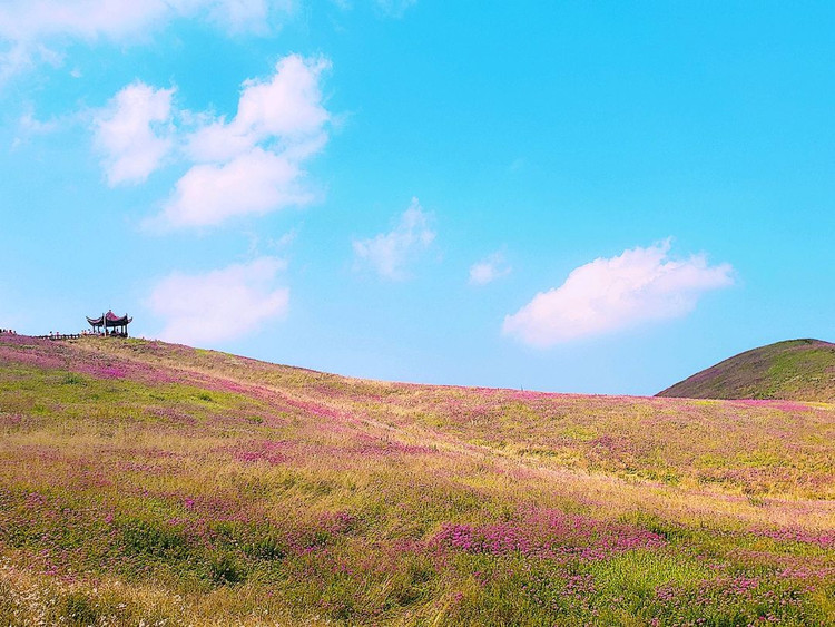 和吴先生最后的旅行|错过你，到底会有多少不舍和遗憾？图4