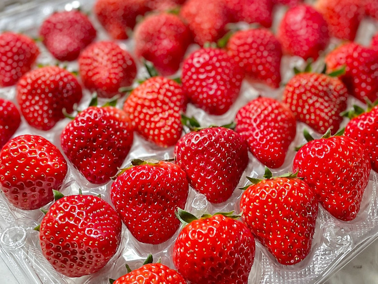 春节家宴：水果之草莓图4