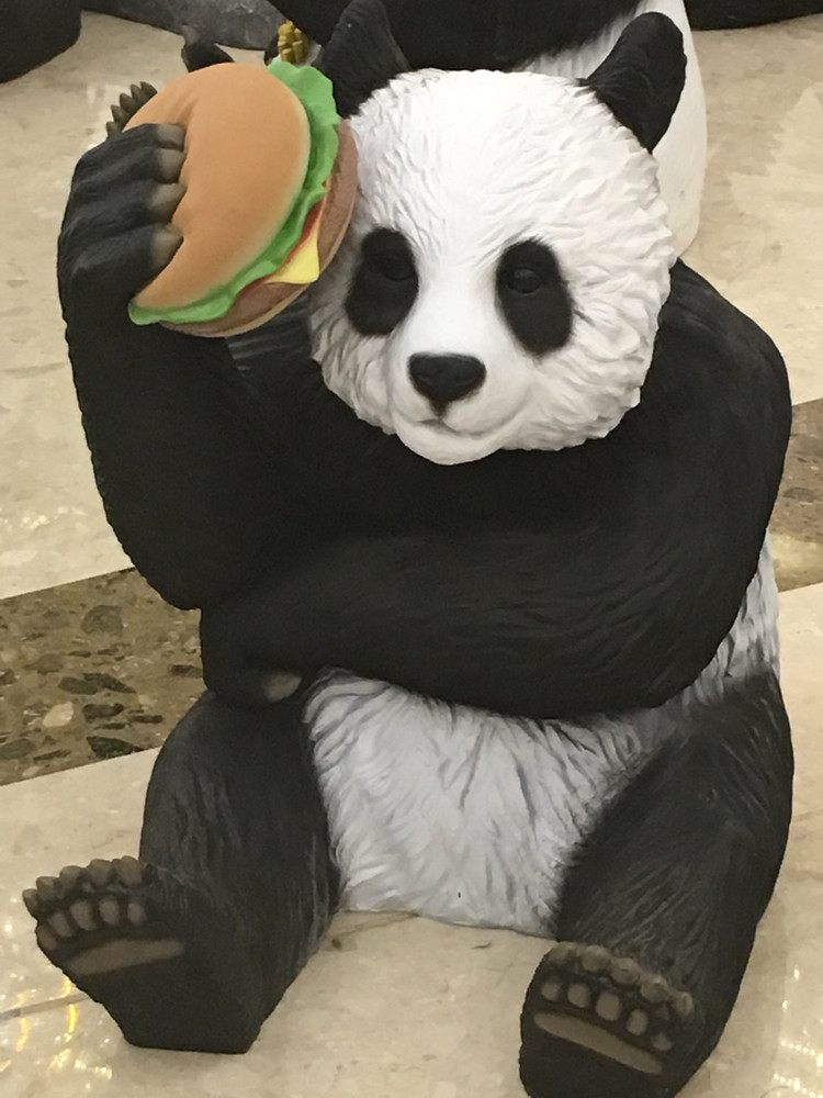 注意！熊猫🐼出没…图3