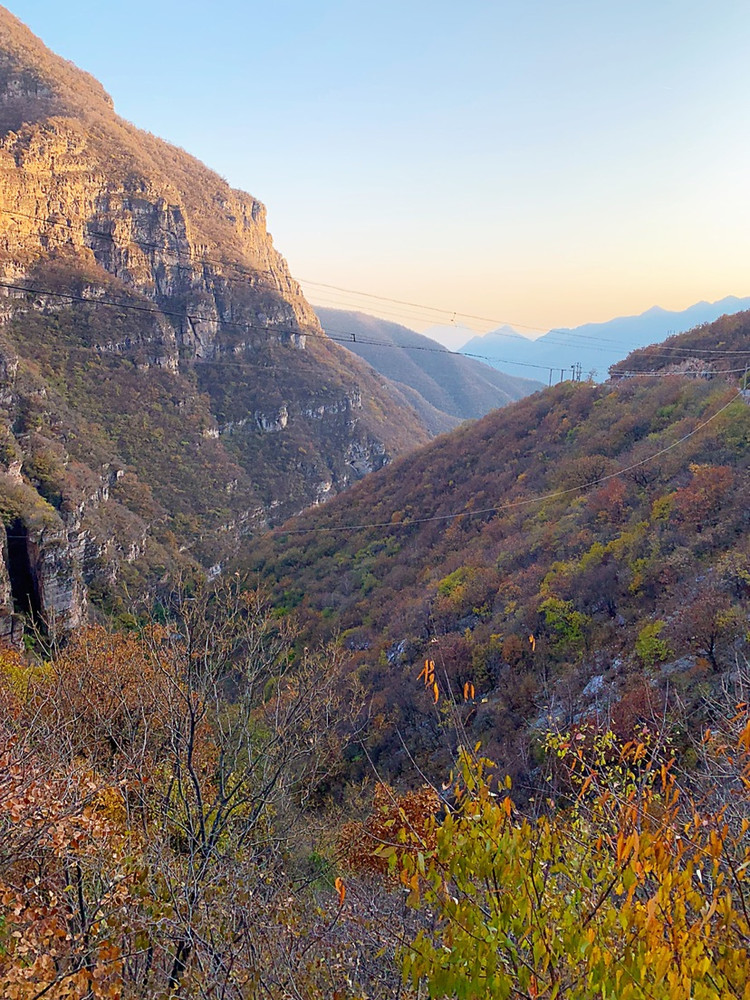 东灵山hiking，摘沙棘果呀～图2