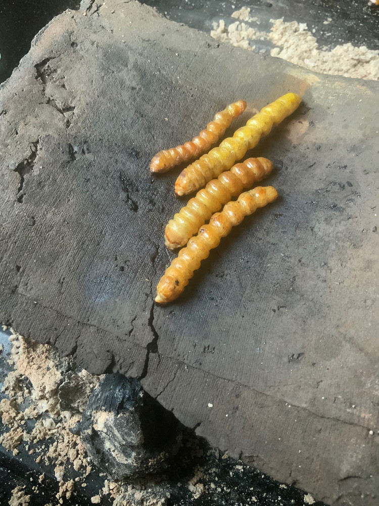 瓦烤斗米虫蘸丘比沙拉酱图3