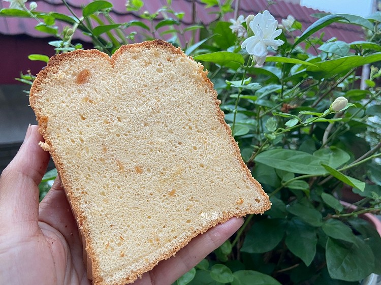 金枕蛋糕🍞可可巧克力味和肉松味图3