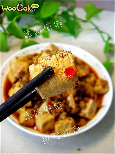 麻婆豆腐-美丽厨娘的做法