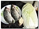 白菜炖鲫鱼的做法图解1