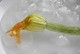巴黎名菜：酿南瓜花的做法图解1