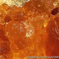 桃胶蔓越莓生梨羹的做法图解2