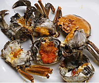 石锅粉丝螃蟹煲的做法图解6