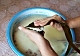 蜜枣糯粽——豆果美食的做法图解12