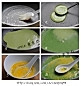 秘制菠汁鸡蛋煎饼 的做法图解8