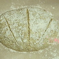 5分钟面包(4)-低成分全麦面包light whole wheat bread的做法图解5