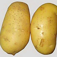 浓香土豆的做法图解1