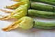 巴黎名菜：酿南瓜花的做法图解2