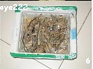 炖带鱼的做法图解6