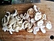 干锅菌菇千张的做法图解3